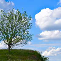 Eva Grete Lisbet Rødsrud